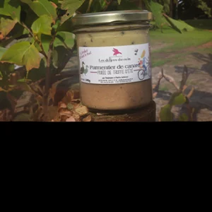 Parmentier de canard